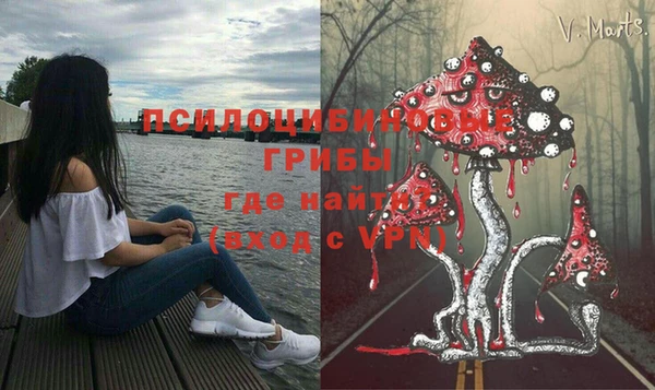 стафф Пестово