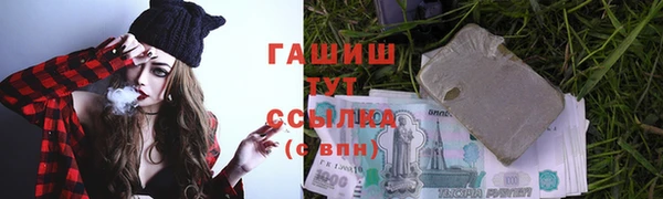 гашик Алексин