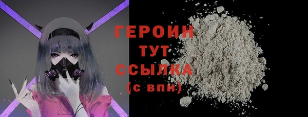 гашик Алексин