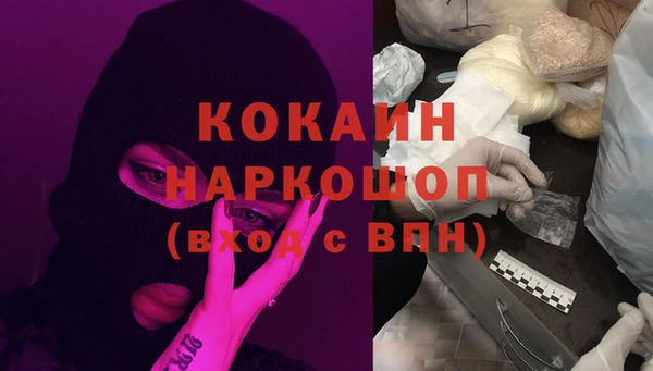 гашик Алексин