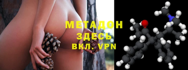 гашик Алексин