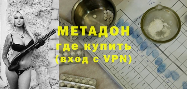 гашик Алексин