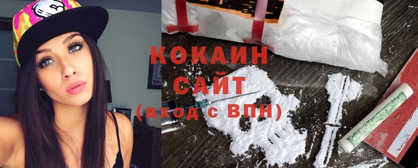 гашик Алексин