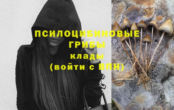 крисы Пересвет