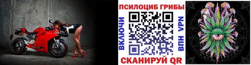 KRAKEN зеркало  Жердевка  Галлюциногенные грибы ЛСД 